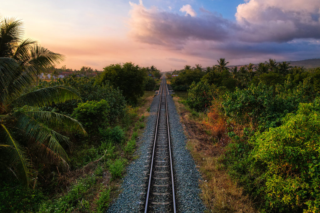 Jungle Railway