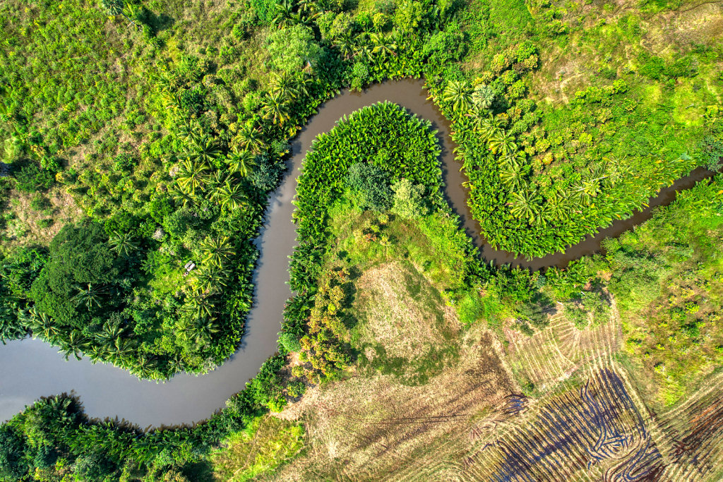 Kampot Mangroves