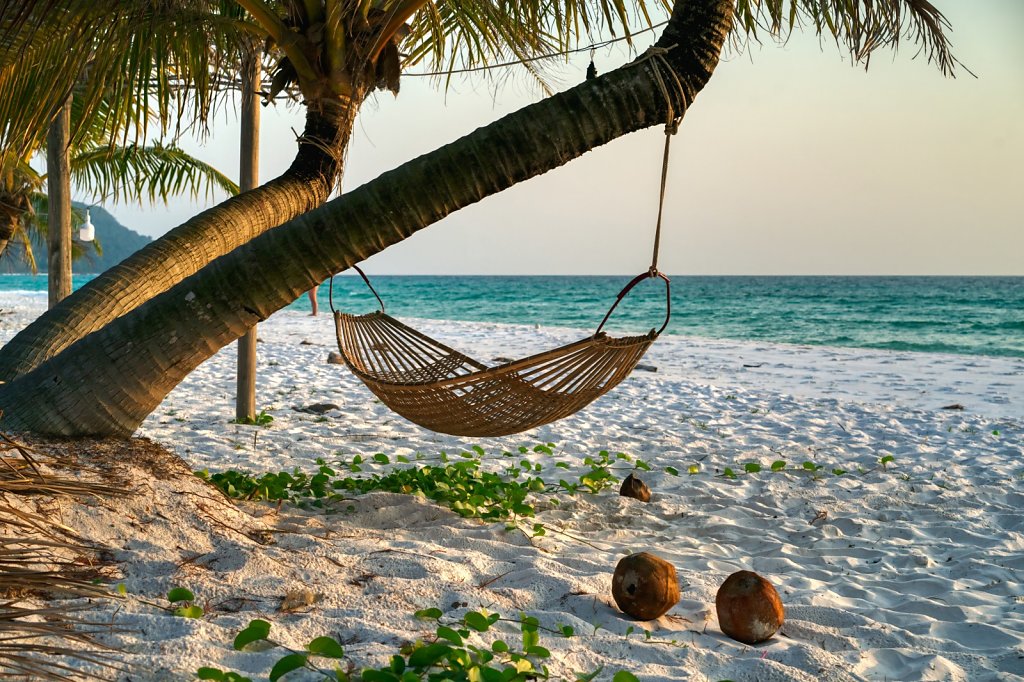 Hammock under coconut trees
