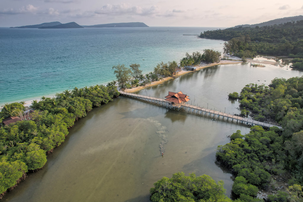 Longset Beach Mangrove